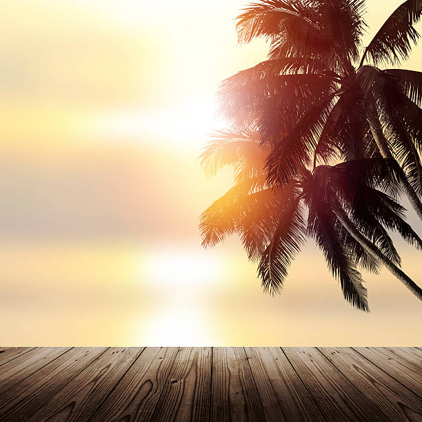 istock Shiny tropical landscape banner background. Coconut palm tree ov 488985596