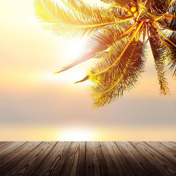 istock Shiny tropical landscape banner background. Coconut palm tree ov 488985720