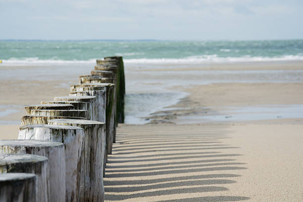 istock Groin at the North Sea, Zeeland 488986524