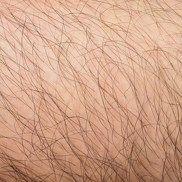 istock Hairy Male Skin Texture Background 488987298