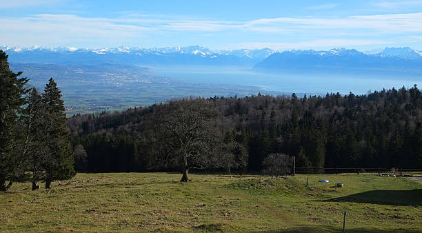 istock The Swiss Plateau (From the Jura mountain range) 488988316