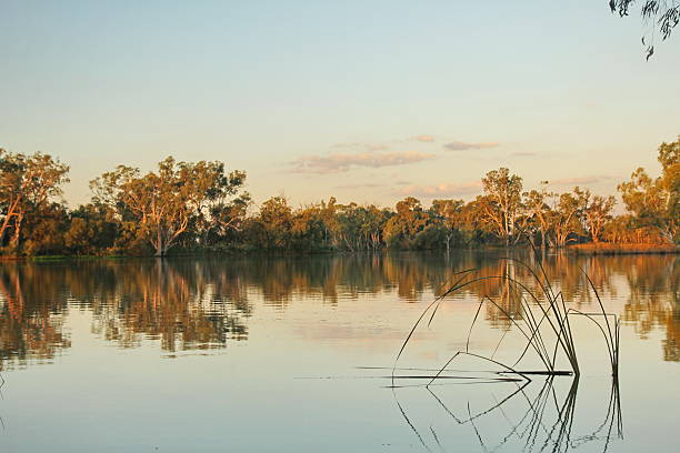 Murray River stock photo