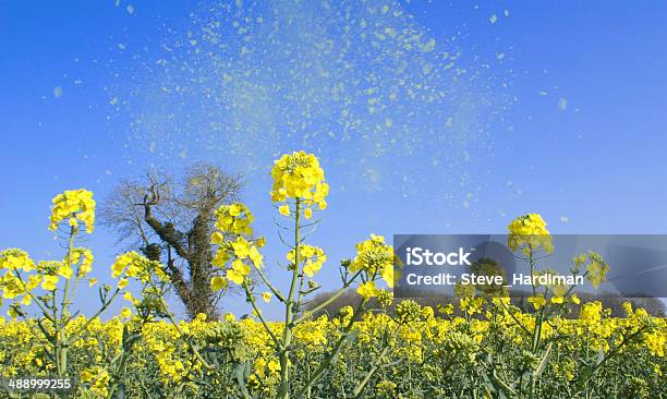 Pollen In Der Luft Healthcare2014 Stockfoto und mehr Bilder von Heuschnupfen - Heuschnupfen, Pollen, Allergie