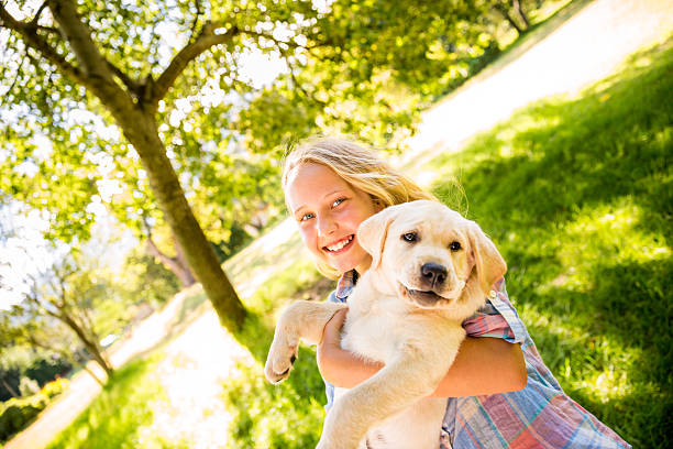 istock Girl is lifting her puppy up 488999327