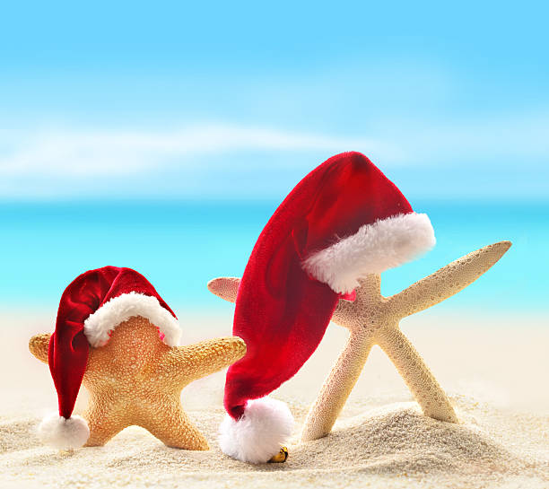 istock Starfish in santa hat on summer beach 489000236