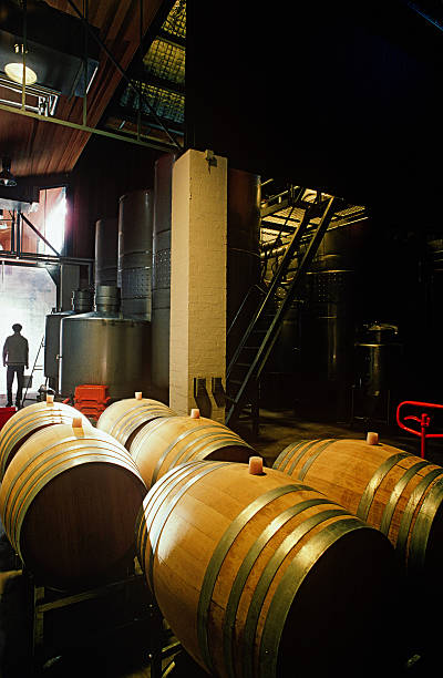 istock Wine barrels in winery, Yarra Valley, Victoria,Austalia 489000523
