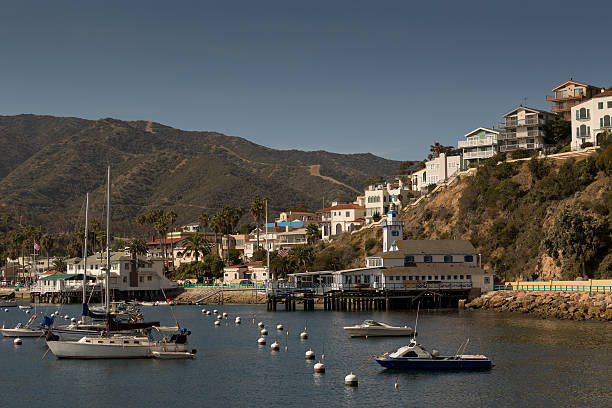 istock Santa Catalina island 489001067