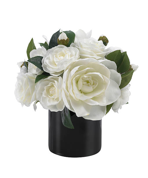 istock White camellia and amaryllus bouquet in black vase on white background 489001349