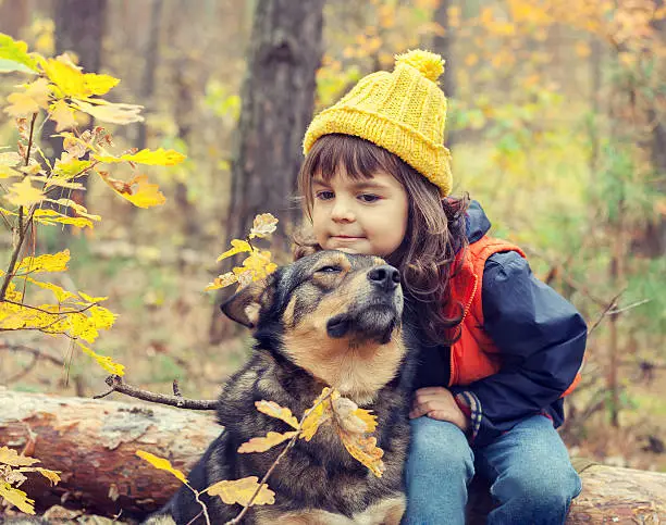 Sad little girl walking with dog in the fores