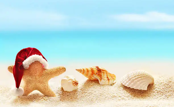 Starfish in santa hat on summer beach and merry christmas