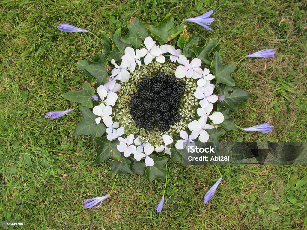 Blackberry harvest mandala This is a mandala that I made using leaves, flowers and blackberries. Mandala Stock Photo