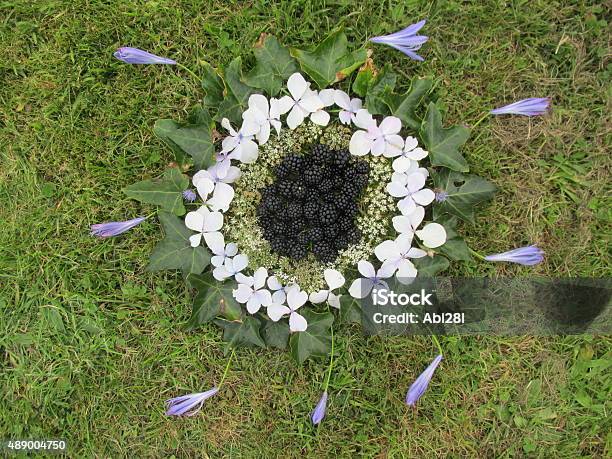 Blackberry Harvest Mandala Stock Photo - Download Image Now - Mandala, Nature, 2015