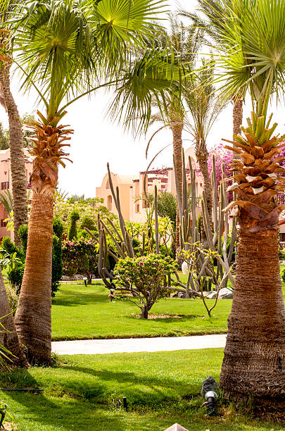 istock Park in the  Hotel in Egypt. 489004966