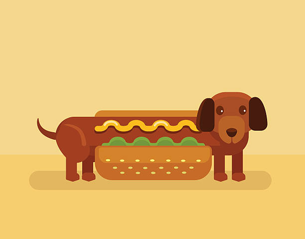 flache vektor-illustration der hot dog - wearing hot dog costume stock-grafiken, -clipart, -cartoons und -symbole
