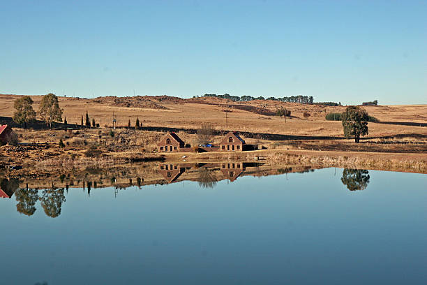 reflections on форель на озеро - dullstroom стоковые фото и изображения