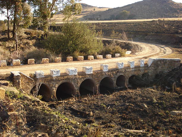 pont sur millstream la truite retreat - dullstroom photos et images de collection