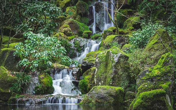 The Japanese Gardens Waterfall A beautiful waterfall in the lush Japanese Gardens of Portland, Oregon portland japanese garden stock pictures, royalty-free photos & images
