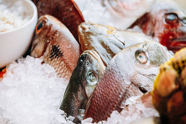 istock Fresh fish on ice on market store shop. Dorado fish 489007806