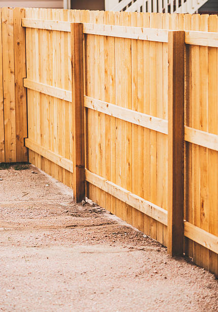 istock Newly installed fencing in back yard 489007996