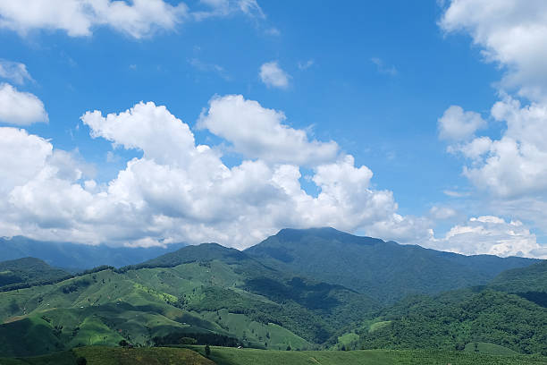 istock Green hill and blue sky view 489008354