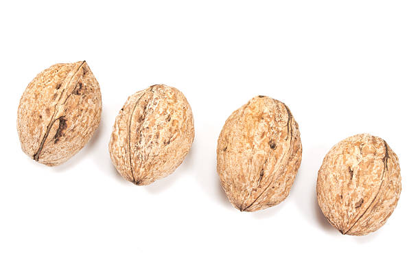 грецкие орехи изолированы на белом - fat strength continuity freshness стоковые фото и изображения