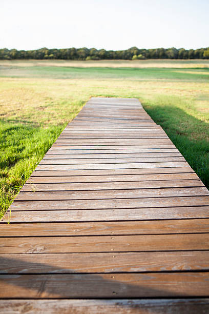 Path to Nowhere stock photo