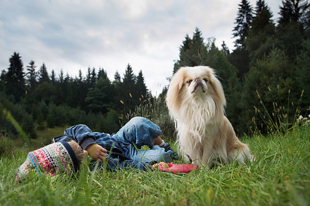 istock Little boy with his best friend 489012498