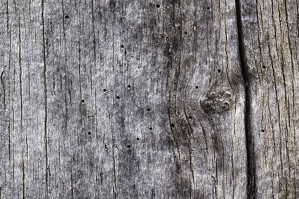 Wooden background close up stock photo