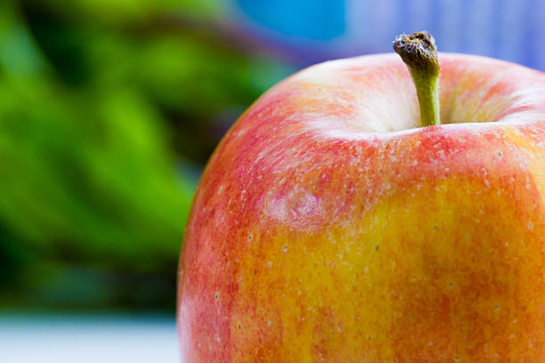 Apple in the garden stock photo