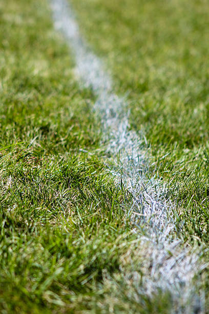 istock White Line Painted on Grass Field - Color 489030404