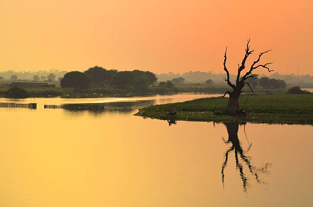 istock tree at Taung Tha Man Lake 489031772
