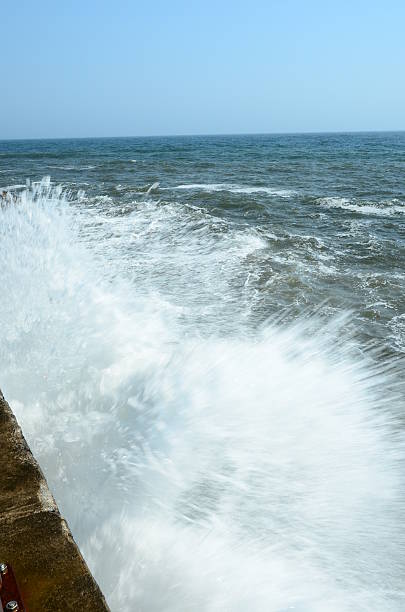 打ち寄せる波 - scotland fife firth of forth waterbreak ストックフォトと画��像