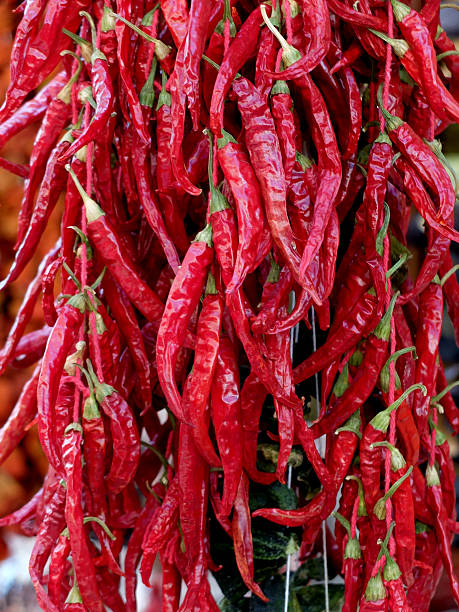 istock Dried red peppers hanging on the rope. 489034048