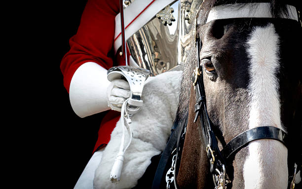 Black horse mounted by a british royal guard