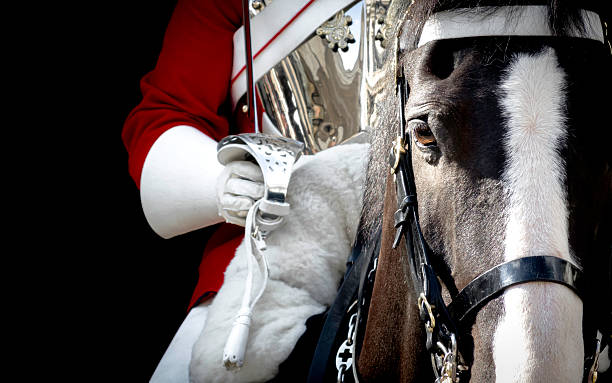 Black horse mounted by a british royal guard Black horse mounted by a british royal guard in London, England buckingham palace photos stock pictures, royalty-free photos & images