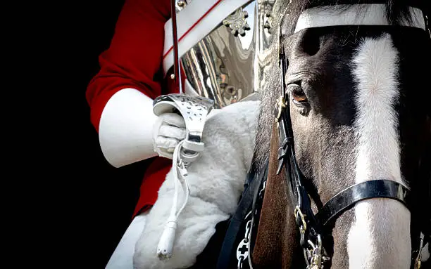 Black horse mounted by a british royal guard in London, England