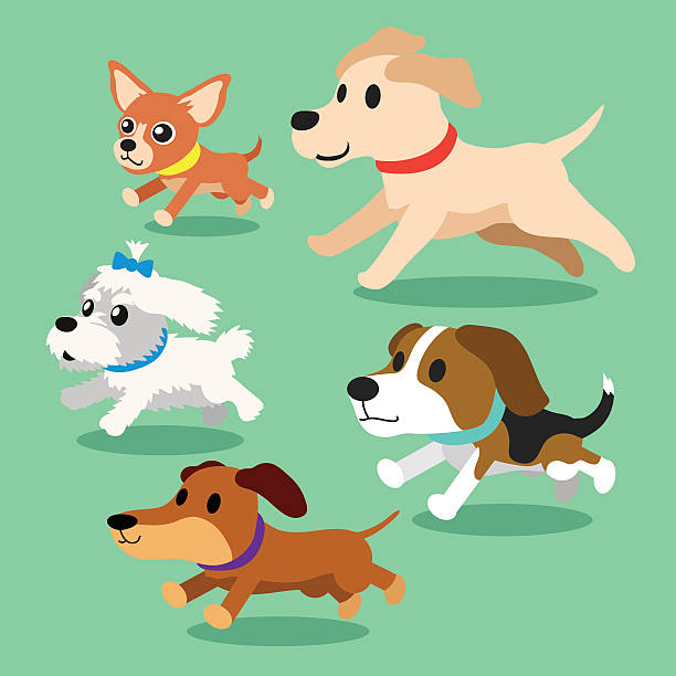 Cartoon dogs running Cartoon dogs running for design. dog with ribbon stock illustrations