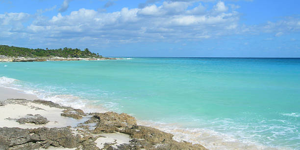 istock Caribbean beach and blue sea 489035092