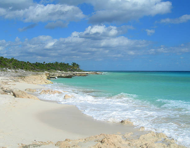 istock Caribbean beach and blue sea 489035214