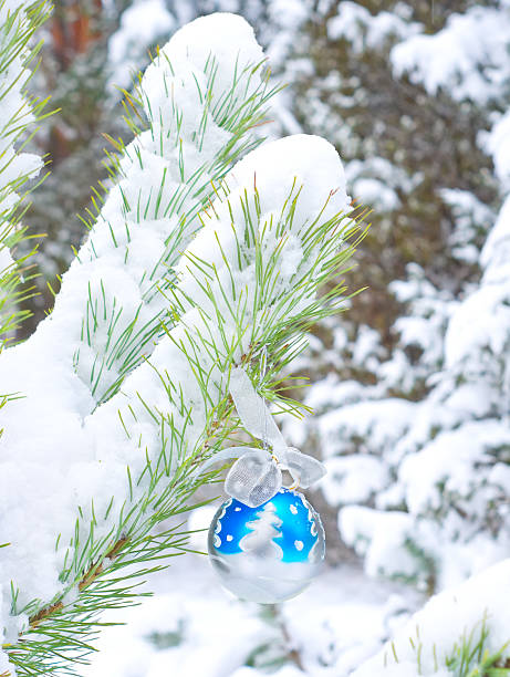 istock Christmas toy on brunch of pine tree 489036536