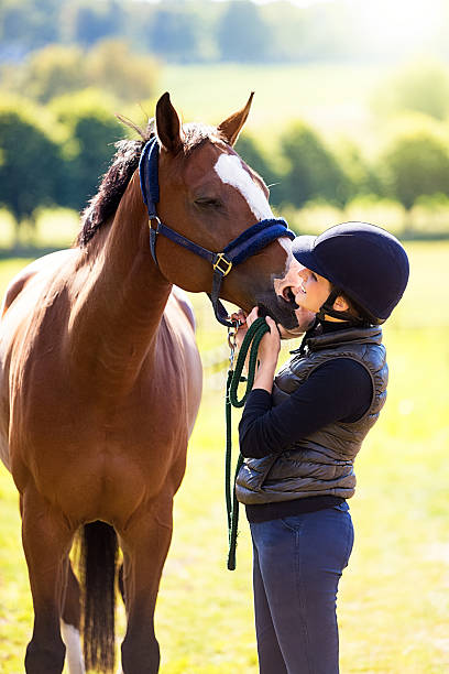 istock Young Rider hugging  her horse, Norway 489037752