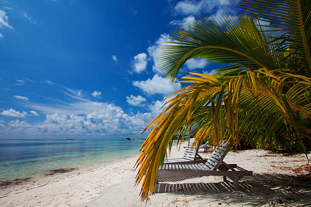 istock Scenic view at island in Indian ocean 489038596