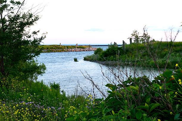 istock Calm Bank with River Flowers 489040686
