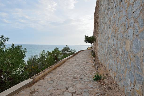 istock Paved coastal walkway on a summer evening 489042107