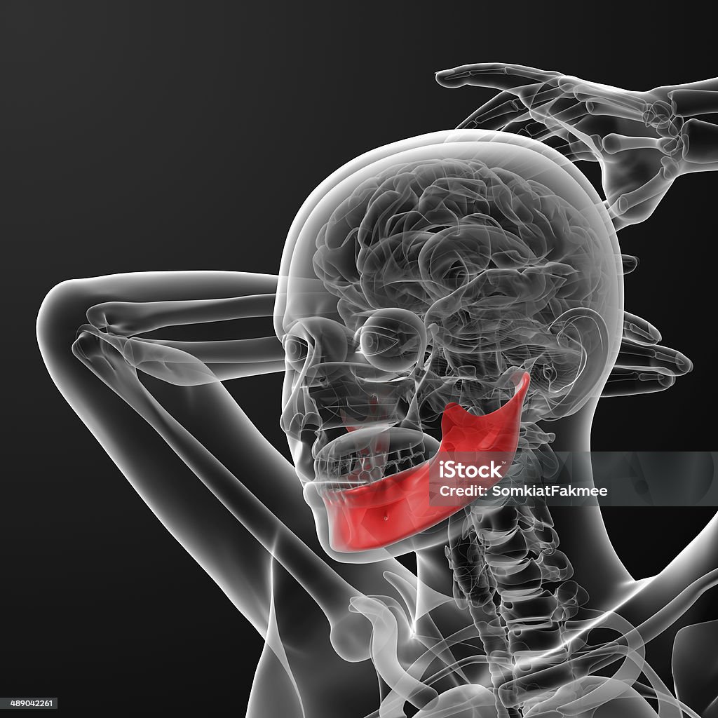 3 D 렌더링됨 일러스트 여성 턱뼈 3차원 형태에 대한 스톡 사진 및 기타 이미지 - 3차원 형태, 건강관리와 의술, 검은색 ...