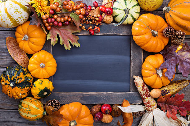 istock Pumpkins and variety of squash 489044222