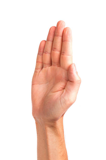 istock Male palm hand gesture, isolated on white 489044531