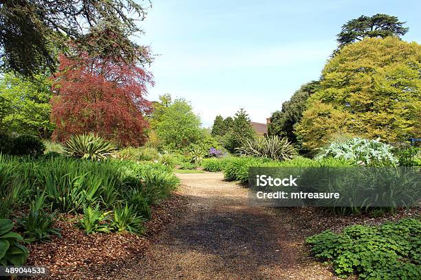 Park Garden With Herbaceous Flower Border And Copper Beech Tree Stock Photo - Download Image Now