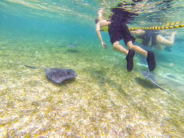 istock Photo taken in Belize 489044575