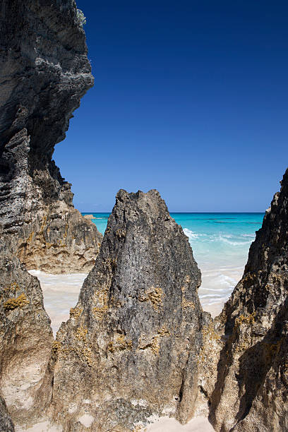 버뮤다 플라주 - bermuda beach limestone rock 뉴스 사진 이미지